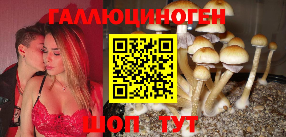Псилоцибиновые грибы мицелий  Галлюциногенные грибы GOLDEN TEACHER  Вход с VPN  Тавда 